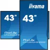 iiyama ProLite LH4360UHS-B2AG 43 tuuman 4K UHD digitaalinen mainosnäyttö