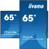 iiyama LH6541UHS-B1AG digitaalinen mainosnäyttö 163,8 cm (64,5 inch) LCD 500 cd/m² 4K Ultra HD musta 24/7