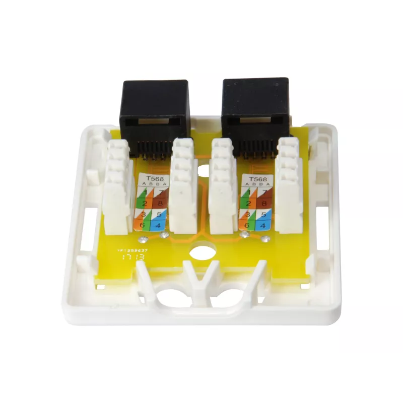 Pintarasian kotelo Equip 2-porttinen Cat.6 235214