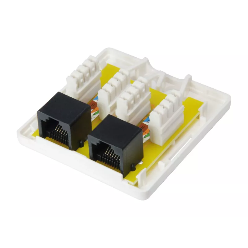 Pintarasian kotelo Equip 2-porttinen Cat.6 235214