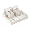 2-porttinen Keystone Jack -pintarasian kotelo Equip 125124