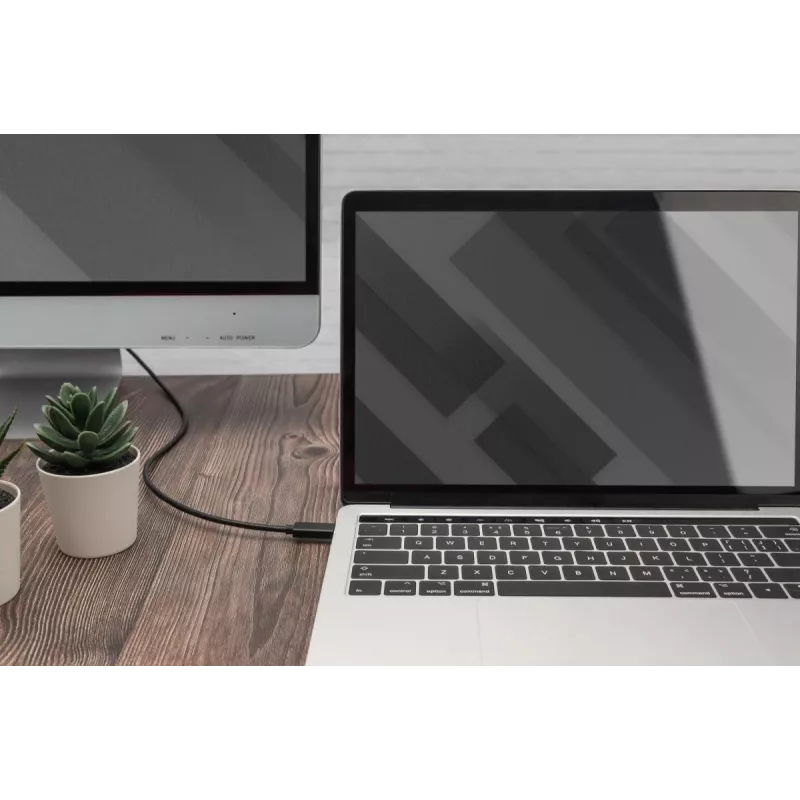 DIGITUS USB Type-C Gen2 – HDMI-A -adapterikaapeli – 2 m
