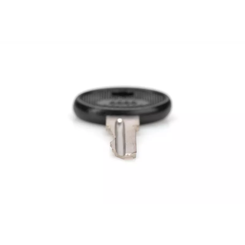 DIGITUS DN-19-KEY-4444 lukena-avain, tyyppi 4444, SOHO PRO DN-1019 / DN-DVR-1 seinäkoteloihin, musta/hopea, 2 kpl