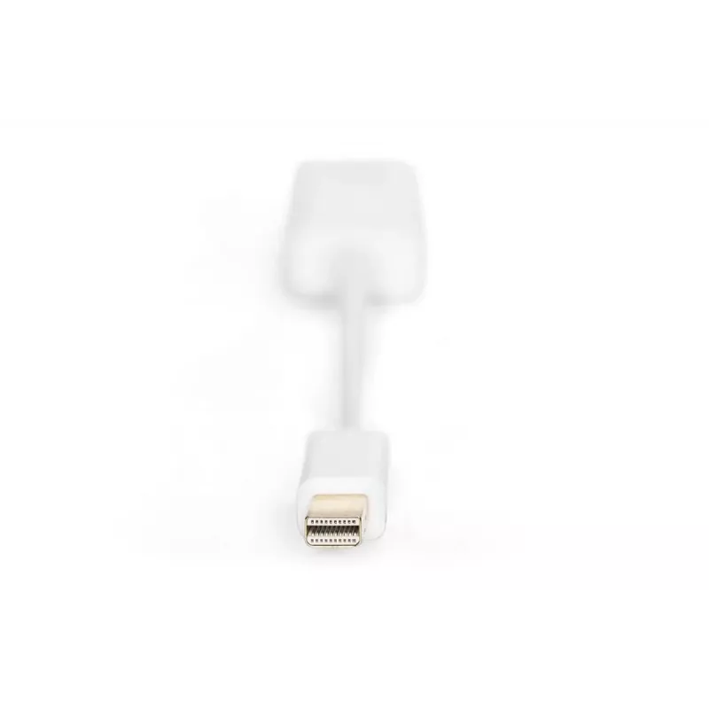 DIGITUS ASSMANN DisplayPort-sovitinkaapeli Mini DP - HDMI Type-A M/F 15 cm DP 1.1a yhteensopiva CE valkoinen