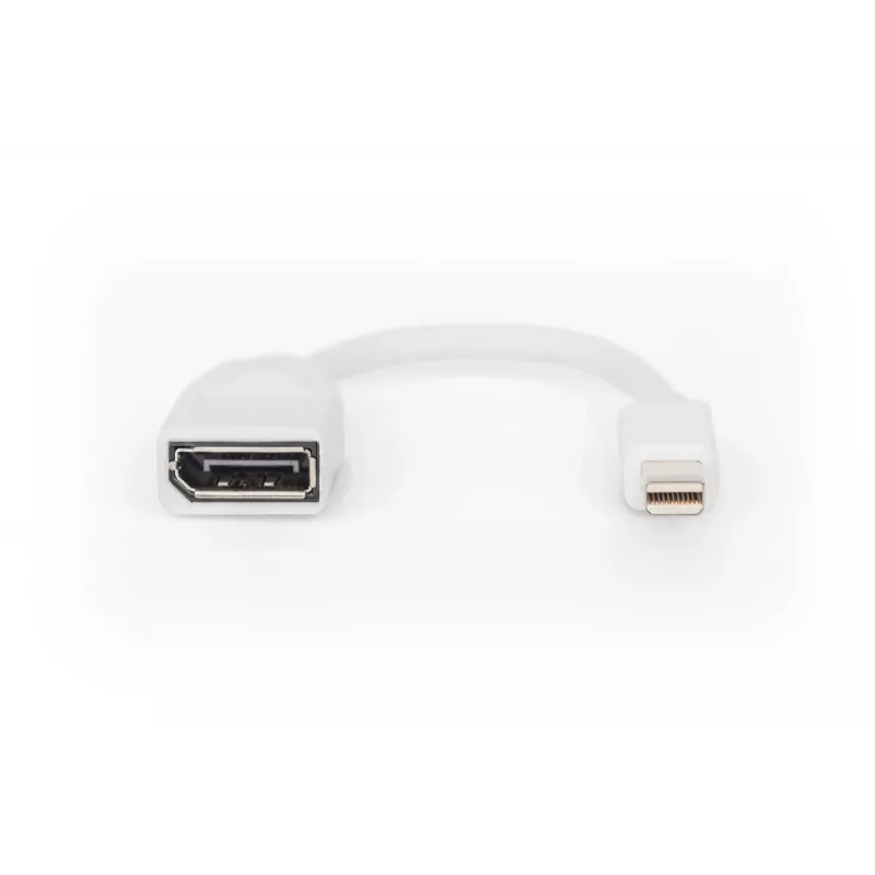 DIGITUS DisplayPort-sovitinkaapeli Mini DP - DP M/F 0,15 m DP 1.2 mukainen valkoinen