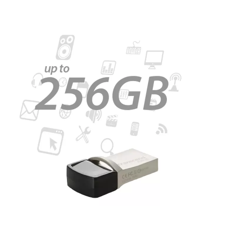 TRANSCEND Jetflash 890 - 256GB USB-muistitikku - USB 3.1 / Type-C