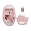 ASUS Fragrance MD101 hiiri Home molempikätinen RF langaton + Bluetooth optinen 2400 DPI