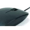 Conceptronic optinen pöytähiiri CLLM3BDESK USB Type-A