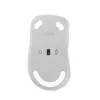 ASUS Wireless MD102 hiiri yleiskäyttö oikeakätinen RF Wireless + Bluetooth optinen 1600 DPI