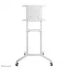 Neomounts NS-M1250WHITE TV-vaunu 37-70