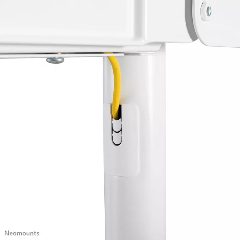 Neomounts NS-M1250WHITE TV-vaunu 37-70