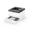 Lasertulostin Ricoh P 501 B A4 s/w