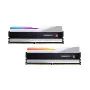DIMM 32 GB DDR5-6400 (2x 16 GB) Dual-Kit, keskusmuisti hopea, F5-6400J3239G16GX2-TZ5RS, Trident Z5 RGB, INTEL XMP