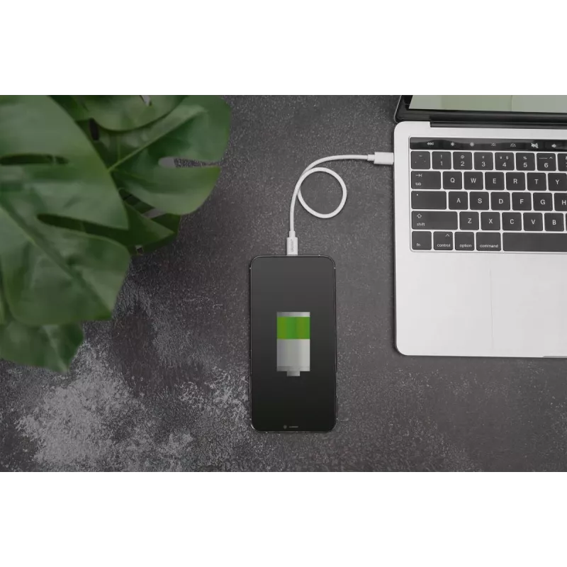 DIGITUS DB-600109-020-W USB-C–Lightning-kaapeli, MFi-sertifioitu, Power Delivery 2.0, 2 m, valkoinen