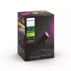 Philips Hue White and Colour Ambiance Lily ulkovalaisin