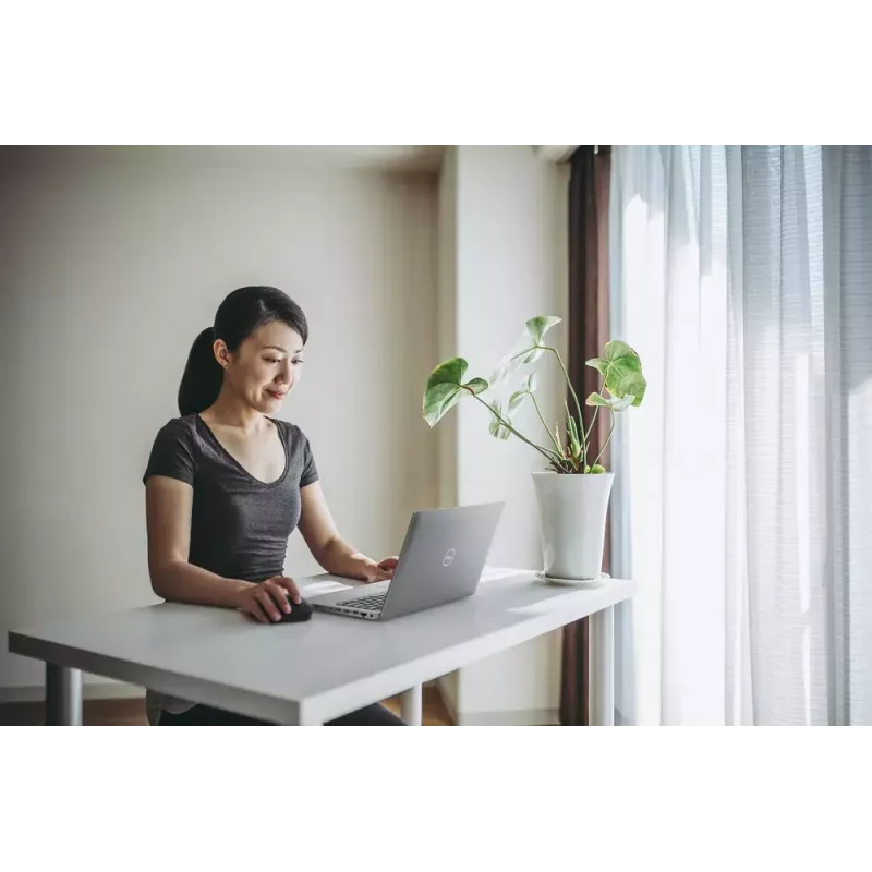 Hiiri Dell MS300 Full-Size Wireless