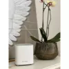 D-Link COVR AX1800 Dual-Band Whole Home Mesh Wi‑Fi 6 -järjestelmä