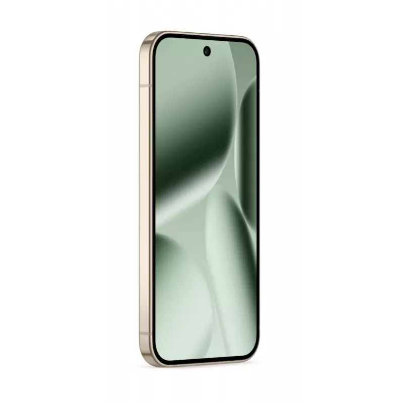 GOOGLE Pixel 10 Pro - Jade - 16GB - 256GB - 6,3
