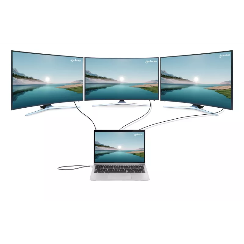 Telakka/keskitin Manhattan USB-C 10 porttia 4K 60Hz Power Delivery