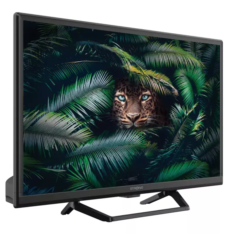 Televisio Strong SRT 24HE4023C 24