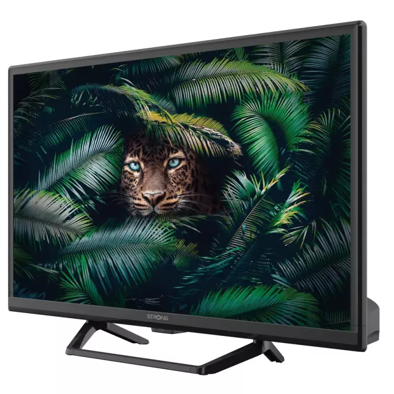 Televisio Strong SRT 24HE4023C 24