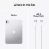 APPLE iPad Pro M5 - 11 inch - Wi-Fi + Cellular - 256 GB - vakioglas - hopea
