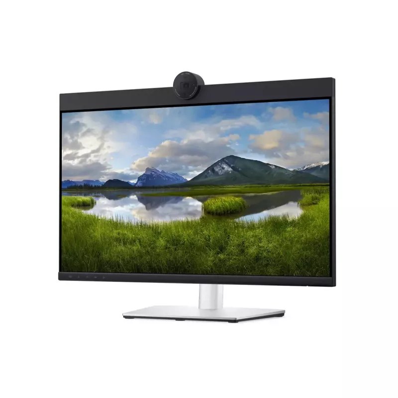 DELL P2424HEB 60,5 cm (23,8 tuumaa) LCD 1 920 x 1 080 pikseliä Full HD