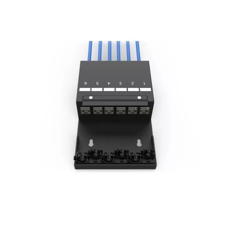 DIGITUS Consolidation Point Box – 6 porttia Keystone-moduulit älykkäällä kaapelinhallinnalla