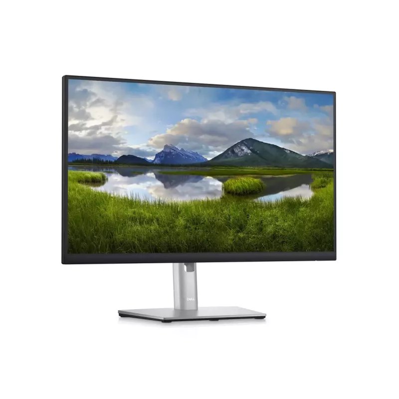 Näyttö DELL P2423D 23,8 tuuman LCD Quad HD 2560 x 1440