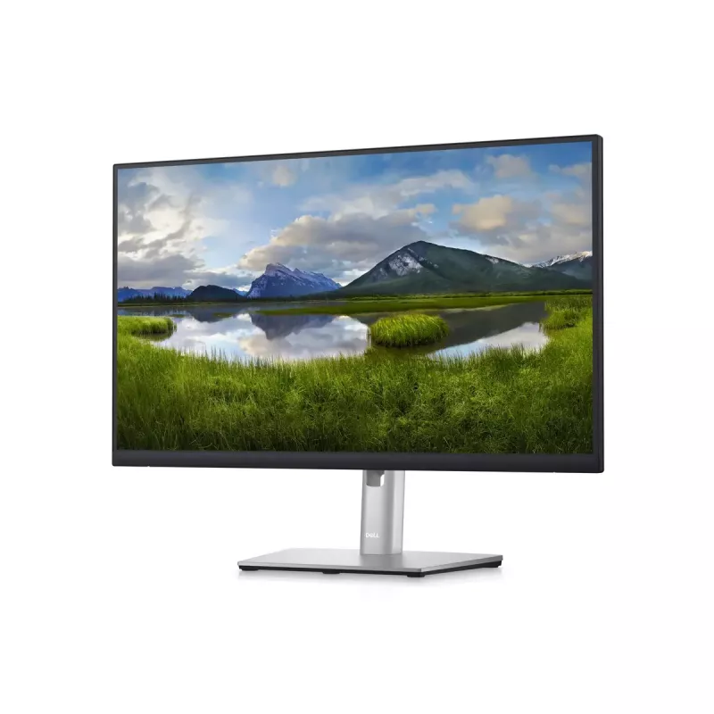 Näyttö DELL P2423D 23,8 tuuman LCD Quad HD 2560 x 1440