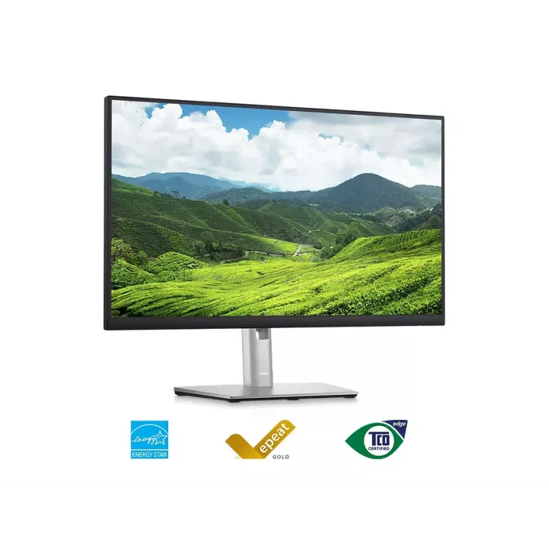 Näyttö DELL P2423D 23,8 tuuman LCD Quad HD 2560 x 1440
