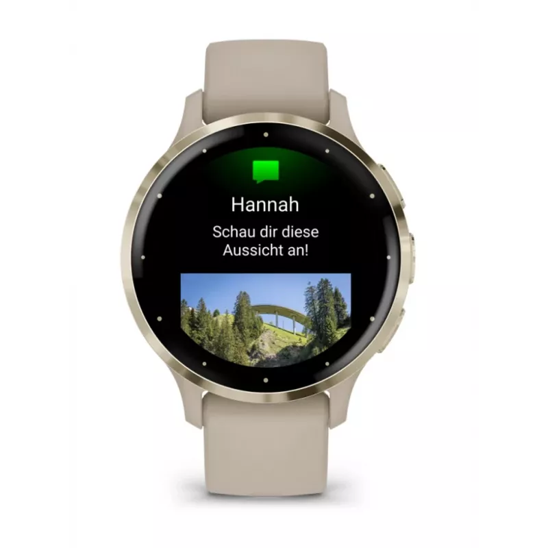 GARMIN INTERNATIONAL Venu 3S - 41 mm - älykello rannekkeella - ranska - harmaa