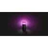 Philips Hue White and colour ambience Calla ulkoinen jalkavalaisin