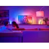 Philips Hue White and Colour Ambience Play Gradient Lightstrip 55