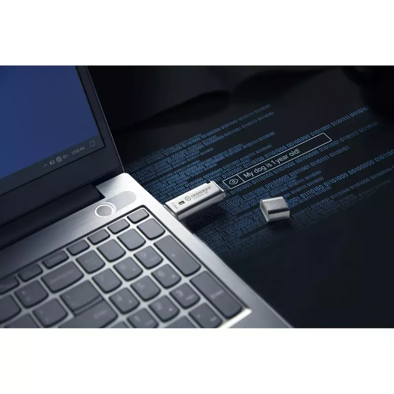 Kingston Technology IronKey 128GB IKLP50 AES USB 256-bittisellä salauksella