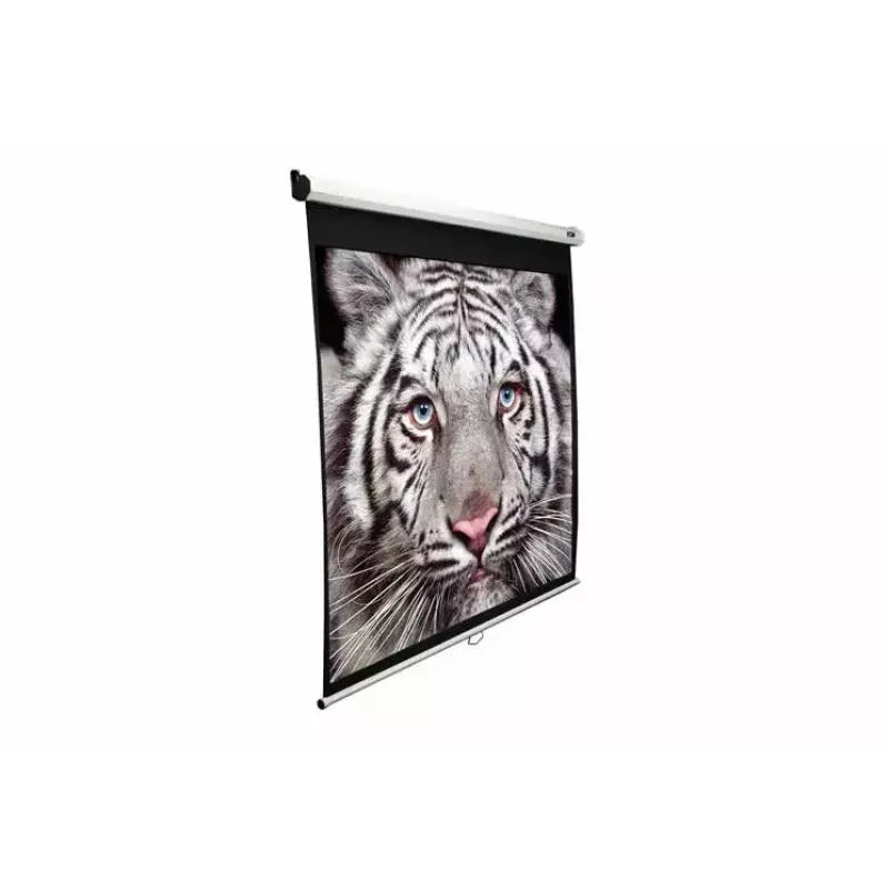 Projektiovalkokangas Elite Screens M99UWS1