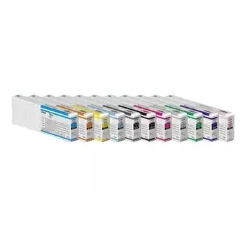 Epson UltraChrome Pro 12 mustepatruuna 1 kpl alkuperäinen harmaa