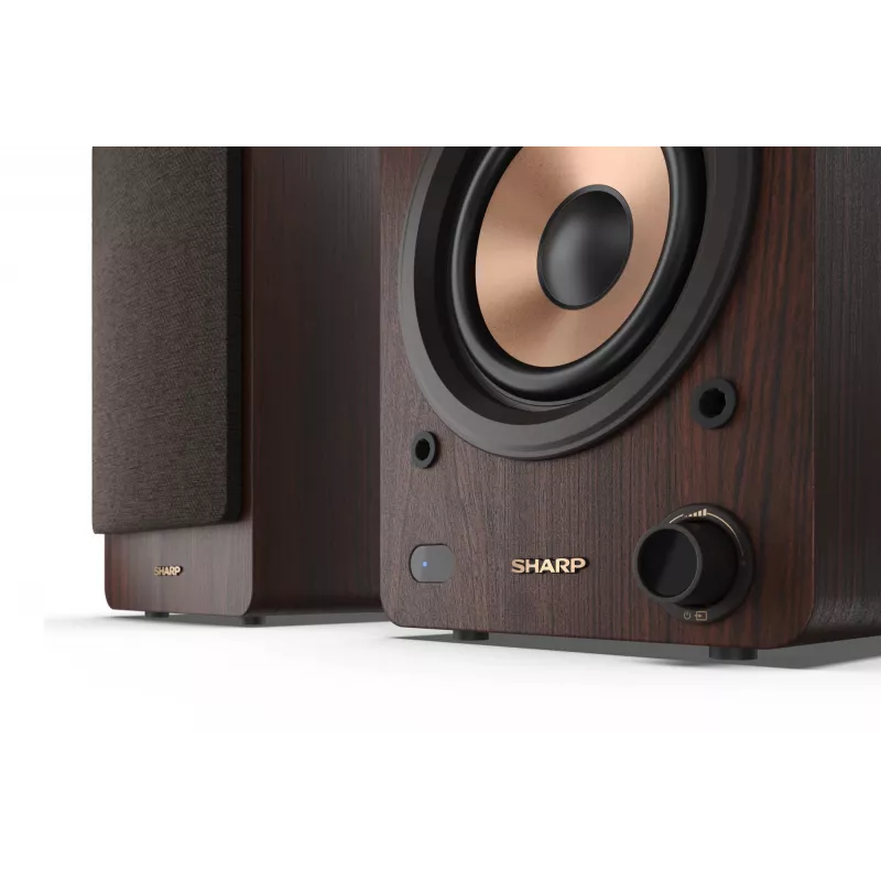Sharp BOOKSHELF SPEAKERS 2-tie ruskea johdollinen ja langaton 60 W