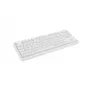 GENESIS Thor 404 TKL näppäimistö pelaaminen USB QWERTY US International valkoinen