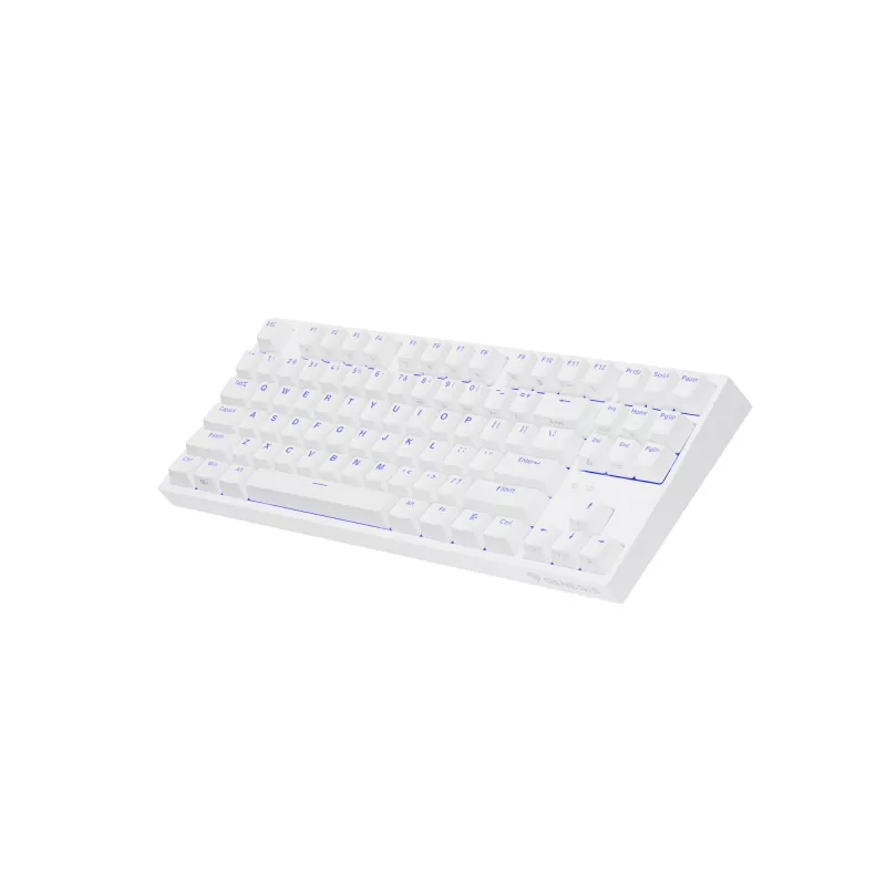 GENESIS Thor 404 TKL näppäimistö pelaaminen USB QWERTY US International valkoinen