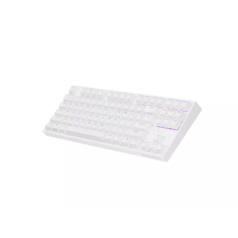 GENESIS Thor 404 TKL näppäimistö pelaaminen USB QWERTY US International valkoinen