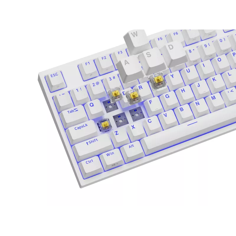 GENESIS Thor 404 TKL näppäimistö pelaaminen USB QWERTY US International valkoinen