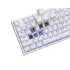 GENESIS Thor 404 TKL näppäimistö pelaaminen USB QWERTY US International valkoinen