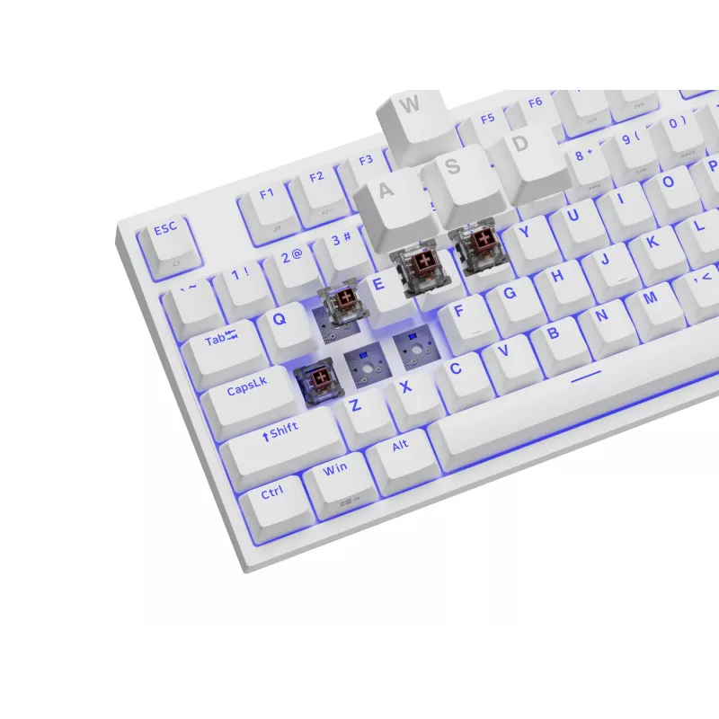 GENESIS Thor 404 TKL näppäimistö pelaaminen USB QWERTY US International valkoinen