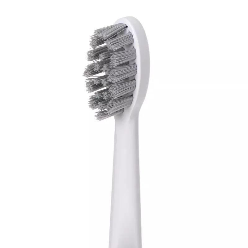 Hammasharja Adler 2-in-1 vesi-hammaslanka Sonic Brush AD 2180w