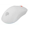 GENESIS Zircon XIII hiiri pelikäyttöön molempikätinen RF langaton + USB Type-C optinen 26000 DPI