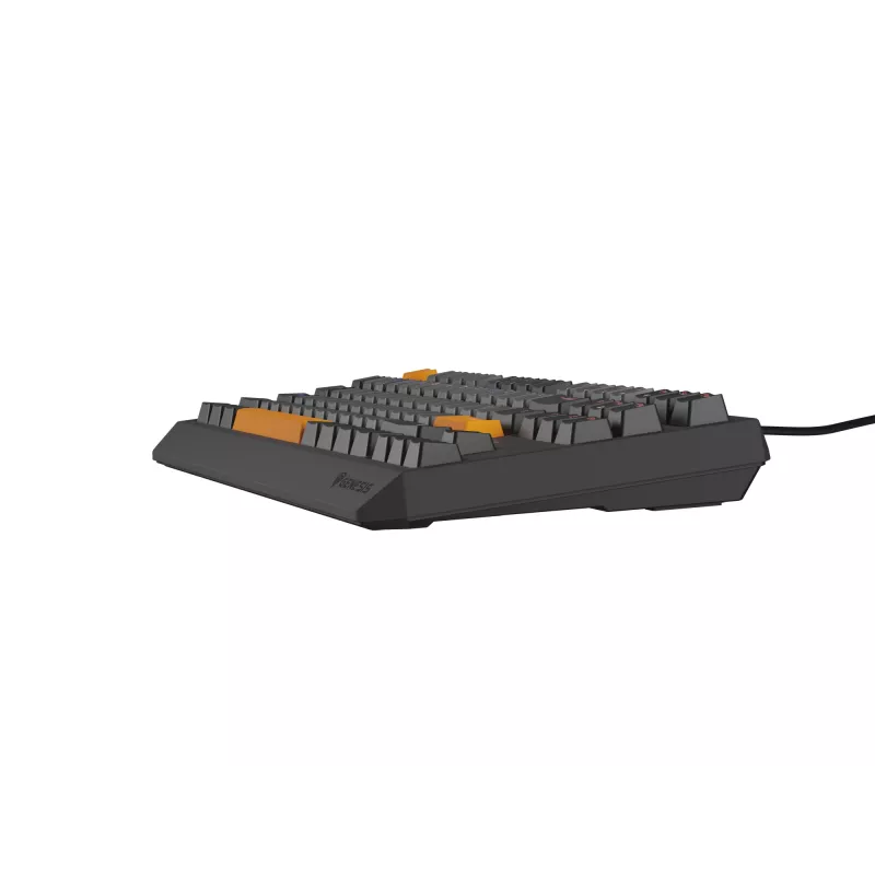 Genesis Thor 230 TKL langallinen mekaaninen pelinäppäimistö, US, Anchor Gray Negative, Outemu Red