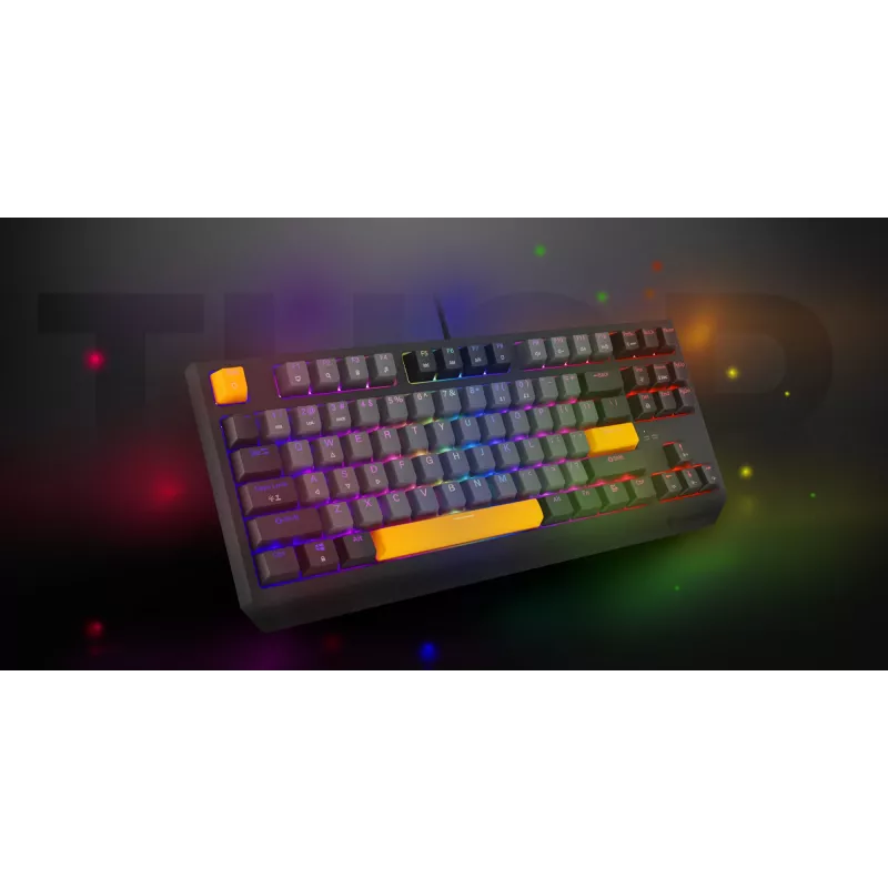 Genesis Thor 230 TKL langallinen mekaaninen pelinäppäimistö, US, Anchor Gray Negative, Outemu Red