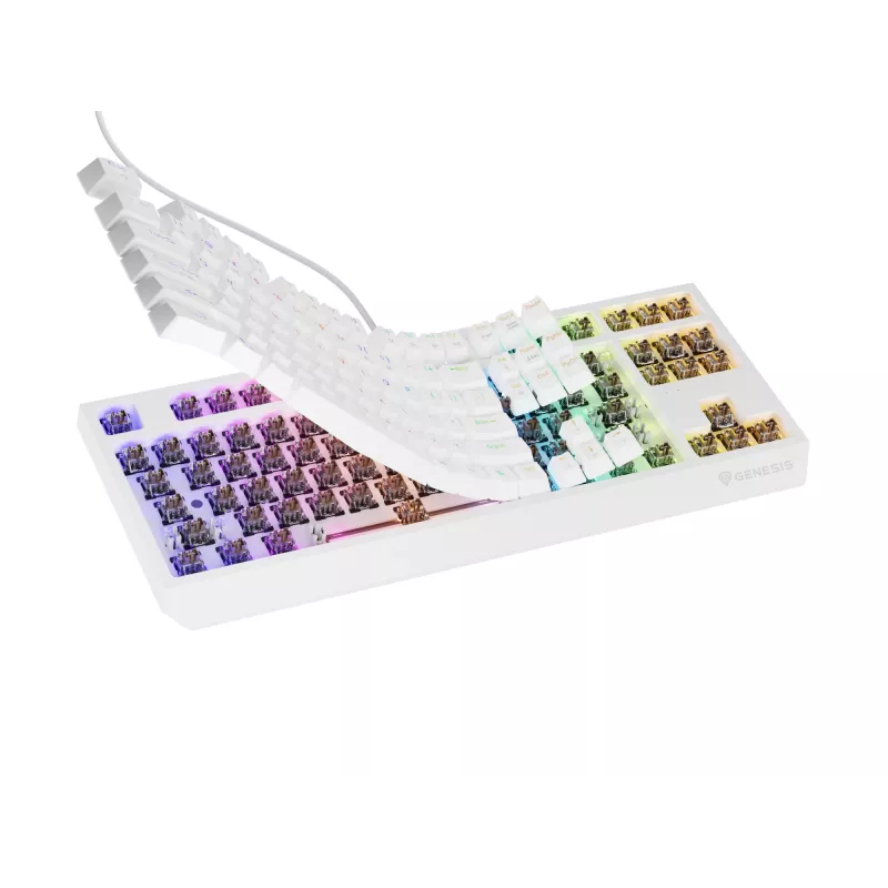 Genesis Thor 230 TKL langallinen mekaaninen pelinäppäimistö, US, valkoinen, Outemu Brown