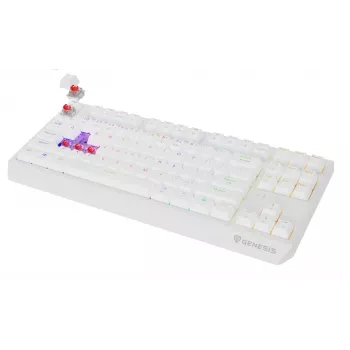 Tenkeyless-pelikäppäimistö GENESIS Thor 230 TKL — USB, RF Wireless, Bluetooth, QWERTY, valkoinen